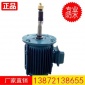冷却塔防水**电机，型号YLZ112M-8/1.5KW,热线：13872138655